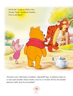 A101M0F0005307_medvidek-pu-ctyri-rocni-o