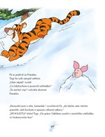 A101M0F0005307_medvidek-pu-ctyri-rocni-o