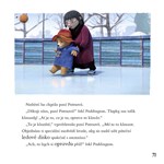 A101M0F0007213_dobrodruzstvi-medvidka-pa