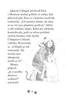 A101F0F0003132_ema-ajkz-7-snazivy-medvid