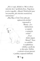 A101F0F0003132_ema-ajkz-7-snazivy-medvid