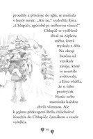 A101F0F0003132_ema-ajkz-7-snazivy-medvid