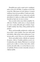 A101F0F0011693_spinava-skolni-hra-pripad