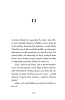 A101F0F0011693_spinava-skolni-hra-pripad