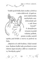 a101a0f0004710_mala-baletka16-nela-a-ruz