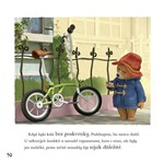 a101M0F0007214_dobrodruzstvi-medvidka-pa