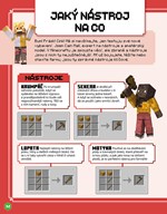 A101M0F0009878_minecraft-zaciname-hrat-l