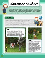 A101M0F0009878_minecraft-zaciname-hrat-l