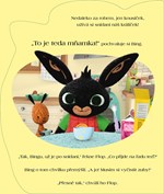 a101M0F0010248_bing-si-cisti-zoubky-list