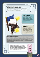 A102M1F0007170_minecraft-legends-priruck