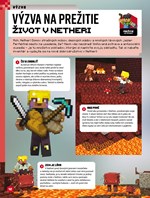 A102M1F0011876_minecraft-knizka-na-cely-