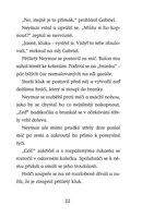 a101f0f0011130_hvezdy-fotbaloveho-hriste