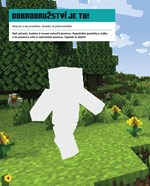 A101M0F0010653_minecraft-darkova-kolekce