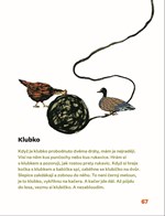 a10110F0000409_divam-se-na-svet-kukatkem