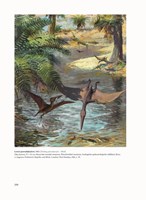 a10110f0000792_praveky-svet-zdenka-buria