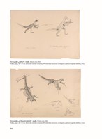 a10110f0000792_praveky-svet-zdenka-buria