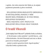 a10110F0001323_q-a-kouzelna-prakniha-lis