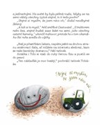 a10110f0002527_kaminek-malovany-list-3.j