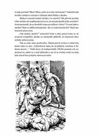 a10110f0002852_stinadla-se-bouri-list-1.