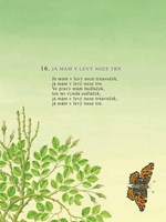 a10110f0002976_spalicek-lidovych-pisni-l