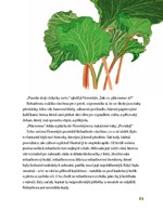 a10110f0004434_kam-zmizela-rebarbora-lis