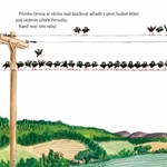 a10110f0005040_kamil-neumi-litat-list2.j