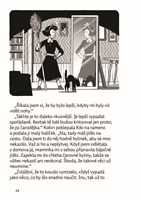 A10110F0005481_dorucovaci-sluzba-carodej