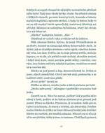 a10110f0006231_tonda-slavka-a-kouzelne-s