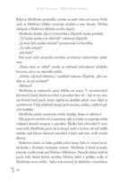 a10110F0006814_Kocici-valecnici-SUPEREDI