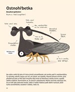 a10110f0007197_nejnemoznejsi-zvirata-na-