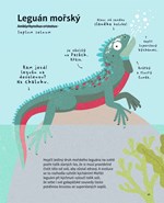 a10110f0007197_nejnemoznejsi-zvirata-na-