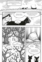 a10110F0009510_kocici-havranova-cesta-02