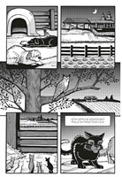 a10110F0009512_kocici-valecnici-havranov