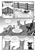 a10110F0009512_kocici-valecnici-havranov