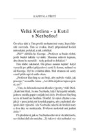 a10110f20664_spravna-petka-a-zlodeji-lis