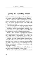 a10110f20664_spravna-petka-a-zlodeji-lis