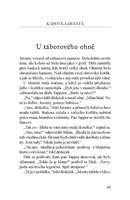 a10110f20664_spravna-petka-a-zlodeji-lis