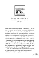 a10110f22435_volani-divociny-ohen-na-neb