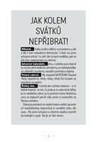 A10160F0008120_Denik-tlusty-kocicandy-li