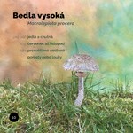 A101I0F0011884_basnicky-z-podhoubi-list1