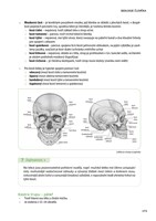 a101f0f19062_nova-biologie-v-kostce-pro-