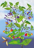 a101e0n0010226_pohadky-z-ceske-prirody-l