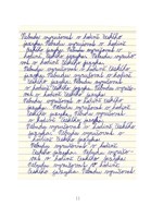 a10110F0011126_viktor-a-pripad-zmizeleho