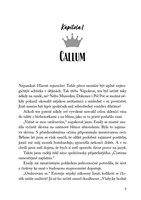 a101f0f0010436_prekvapivy-naslednik-list