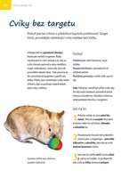 a101a0f0012356_klikrtrenink-pro-kraliky-