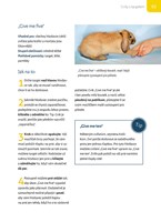 a101a0f0012356_klikrtrenink-pro-kraliky-