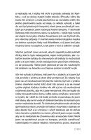 A101I0F0009256_paralelne-k-vlnam-list4.j