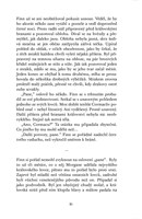 A101I0F0010730_trhliny-v-kameni-list1.jp