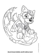 A101M0F0010974_tlapkova-patrola-super-om