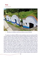 A101B0N0005326_Fenomen-Slovacko_list_49.